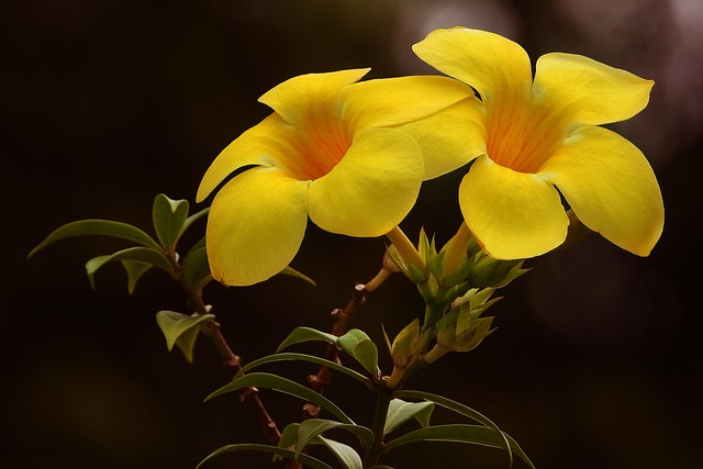 G099eeb15386f60a4ca760521f33588079373d9b793d9dc248a00455c487ab6eab64a70cbdd2ff80a16a4607b1af62f1b6de1de68a119105dfd2bd777463f2989 640