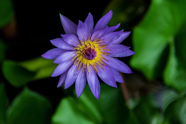 Gb7bbfbf9bcdfcf8f98562ef895977b650d34e441fc8109cd6bfd95db51c43e45cd20b695358f1e9fb4750714a1870df1da6d9552563ce28cc50f93b62dda2b1b 640