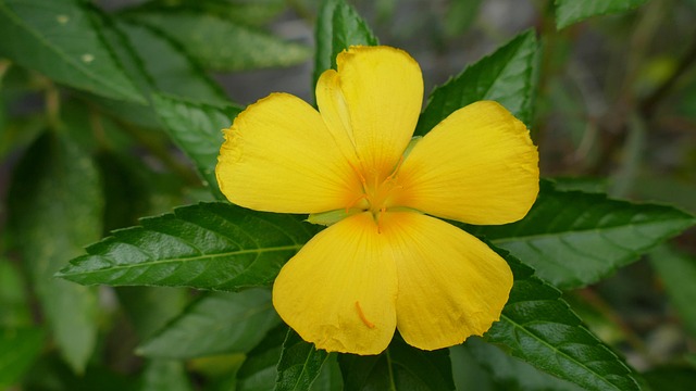 Gd66c77d475773a3ae53b13a0603215536970512bc59ddb95ec3b9b91134a71fea24d9ac99802f6b6420251f715d698f15464e46037c2377a6dab696d3352265e 640