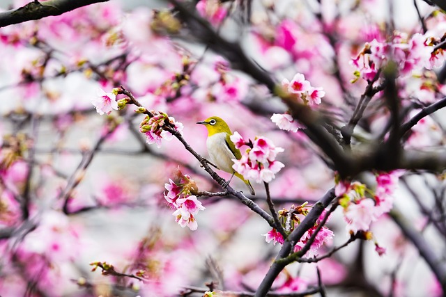 Gf4d3970b5bab9dca7c1539387ab7c51f8efe0f9625787cf913df4d48656ec671433ea7d47f0ffd0680e2f1916db0df6fdfe78faee1935aa40911c7b95b89f61c 640